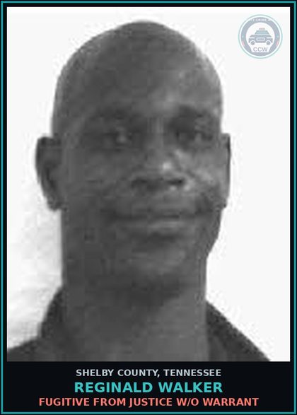 CCW arrest card for REGINALD WALKER in Shelby County: FUGITIVE FROM JUSTICE W/O WARRANT