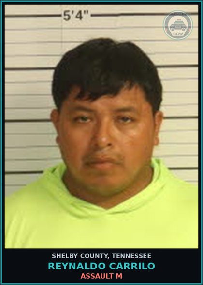 CCW arrest card for REYNALDO CARRILO in Shelby County: ASSAULT M