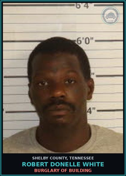 CCW arrest card for ROBERT DONELLE WHITE in Shelby County: THEFT OF MERCH LESS THAN $1000