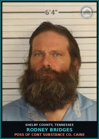 CCW arrest card for RODNEY BRIDGES in Shelby County: POSS OF CONT SUBSTANCE COCAINE