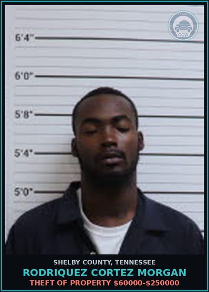 CCW arrest card for RODRIQUEZ CORTEZ MORGAN in Shelby County: THEFT OF PROPERTY $60000-$250000