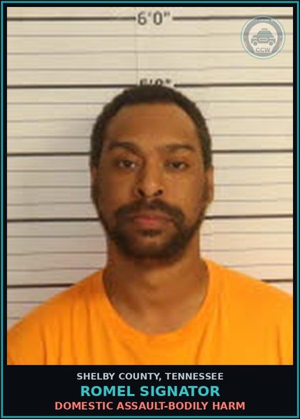 CCW arrest card for ROMEL SIGNATOR in Shelby County: DOMESTIC ASSAULT-BODILY HARM