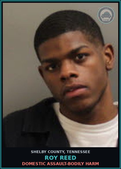 CCW arrest card for ROY REED in Shelby County: DOMESTIC ASSAULT-BODILY HARM