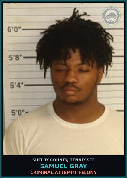 CCW arrest card for SAMUEL GRAY in Shelby County: THEFT OF PROPERTY $1000-$2500