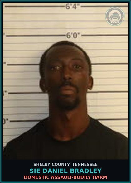 CCW arrest card for SIE DANIEL BRADLEY in Shelby County: DOMESTIC ASSAULT-BODILY HARM