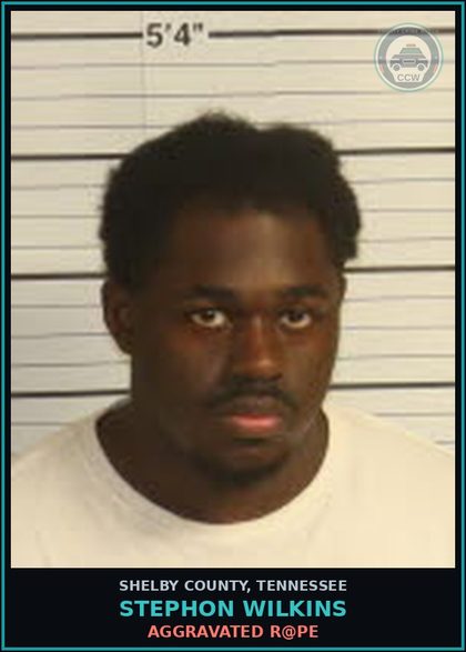 CCW arrest card for STEPHON WILKINS in Shelby County: AGGRAVATED r@pe