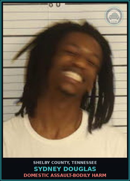 CCW arrest card for SYDNEY DOUGLAS in Shelby County: DOMESTIC ASSAULT-BODILY HARM
