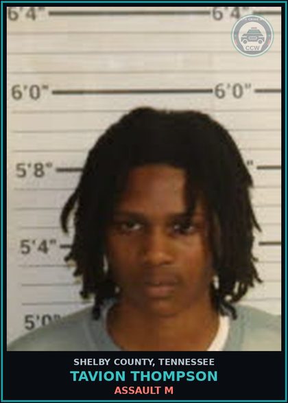 CCW arrest card for TAVION THOMPSON in Shelby County: ASSAULT M