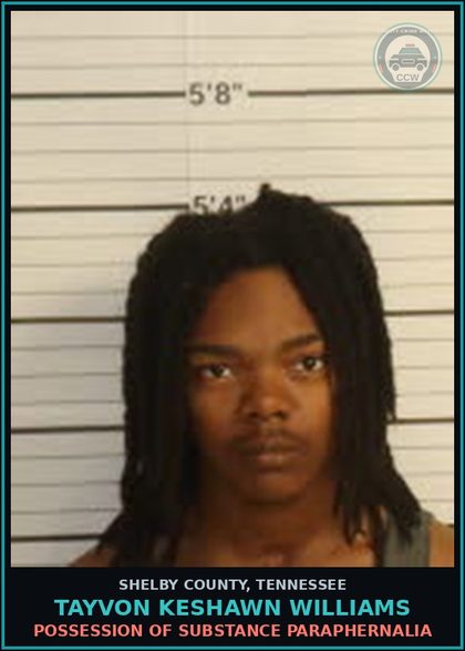 CCW arrest card for TAYVON KESHAWN WILLIAMS in Shelby County: NO DRIVER LICENSE