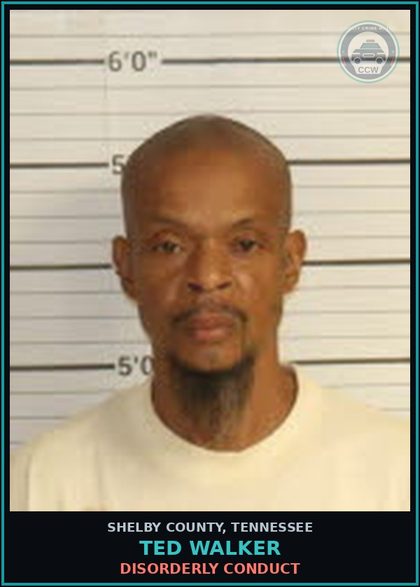 CCW arrest card for TED WALKER in Shelby County: PUBLIC INTOXICATION