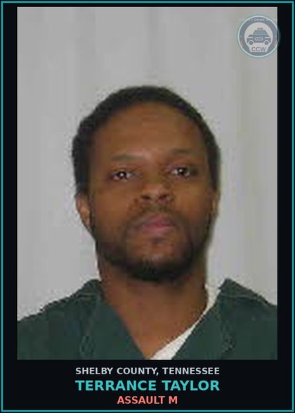 CCW arrest card for TERRANCE TAYLOR in Shelby County: ASSAULT M