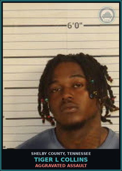 CCW arrest card for TIGER L COLLINS in Shelby County: ROBBERY