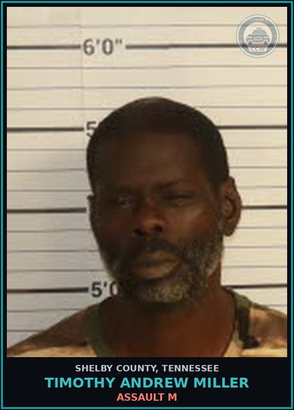 CCW arrest card for TIMOTHY ANDREW MILLER in Shelby County: ASSAULT M