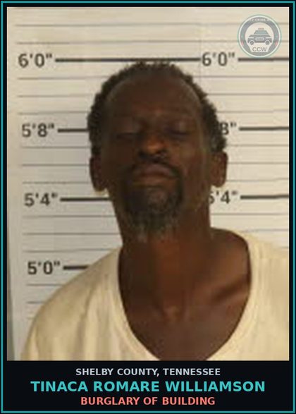 CCW arrest card for TINACA ROMARE WILLIAMSON in Shelby County: BURGLARY OF BUILDING