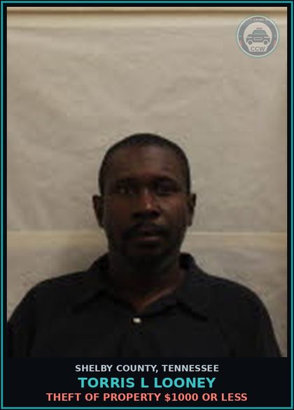 CCW arrest card for TORRIS L LOONEY in Shelby County: THEFT OF PROPERTY $1000 OR LESS