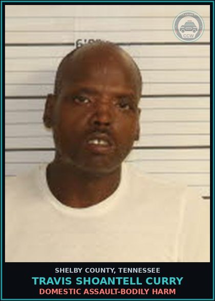 CCW arrest card for TRAVIS SHOANTELL CURRY in Shelby County: DOMESTIC ASSAULT-BODILY HARM