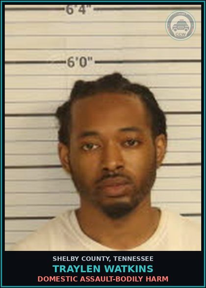 CCW arrest card for TRAYLEN WATKINS in Shelby County: DOMESTIC ASSAULT-BODILY HARM
