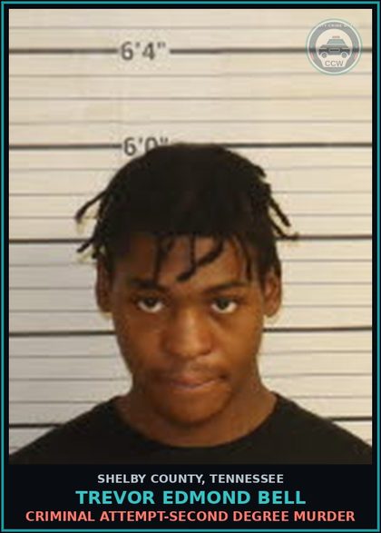 CCW arrest card for TREVOR EDMOND BELL in Shelby County: RECKLESS ENDANGERMENT W/DEADLY WEAP