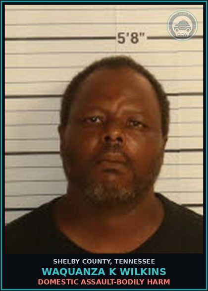CCW arrest card for WAQUANZA K WILKINS in Shelby County: DOMESTIC ASSAULT-BODILY HARM