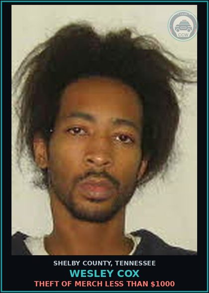 CCW arrest card for WESLEY COX in Shelby County: THEFT OF MERCH LESS THAN $1000