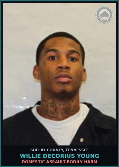 CCW arrest card for WILLIE DECORIUS YOUNG in Shelby County: DOMESTIC ASSAULT-BODILY HARM