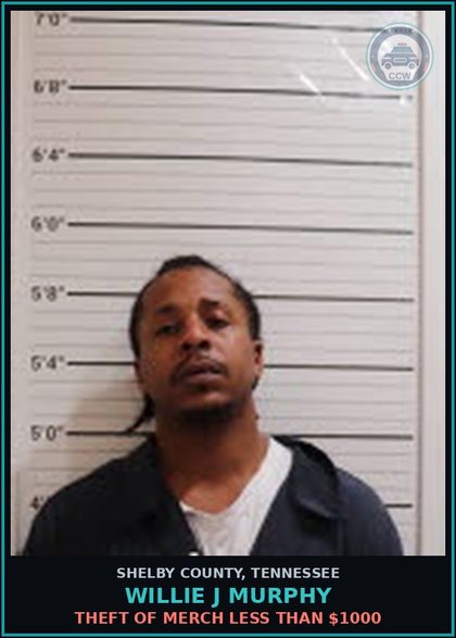 CCW arrest card for WILLIE J MURPHY in Shelby County: THEFT OF MERCH LESS THAN $1000