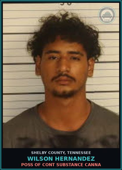 CCW arrest card for WILSON HERNANDEZ in Shelby County: FAIL TO EXERCISE DUE CARE