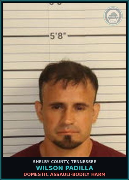 CCW arrest card for WILSON PADILLA in Shelby County: DOMESTIC ASSAULT-BODILY HARM