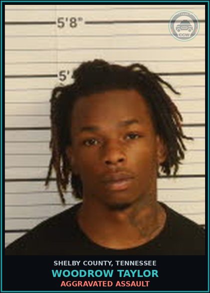 CCW arrest card for WOODROW TAYLOR in Shelby County: DOMESTIC ASSAULT-BODILY HARM