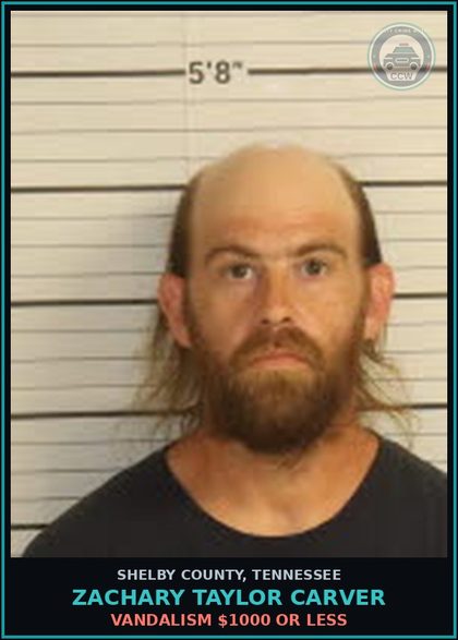 CCW arrest card for ZACHARY TAYLOR CARVER in Shelby County: VANDALISM $1000 OR LESS