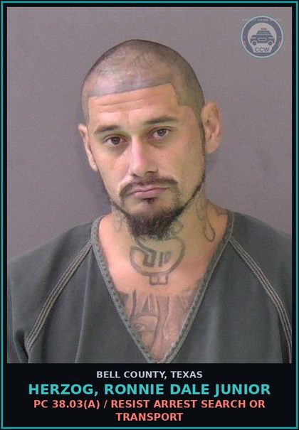 CCW arrest card for HERZOG, RONNIE DALE JUNIOR in Bell County: / OFFENSE UNKNOWN