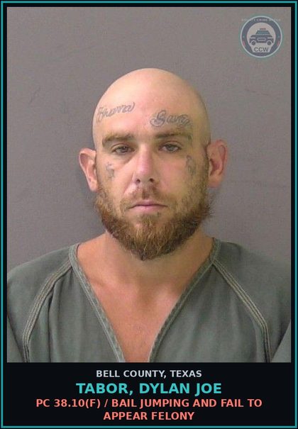 CCW arrest card for TABOR, DYLAN JOE in Bell County: PC 38.10(f) / BAIL JUMPING AND FAIL TO APPEAR FELONY