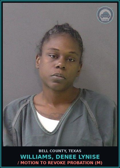 CCW arrest card for WILLIAMS, DENEE LYNISE in Bell County: / MOTION TO REVOKE PROBATION (M)