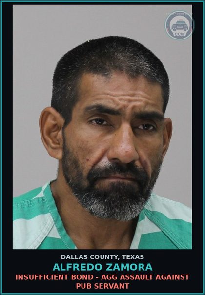 CCW arrest card for ALFREDO ZAMORA in Dallas County: EVADING ARREST DET W/VEH