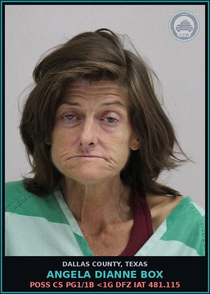 CCW arrest card for ANGELA DIANNE BOX in Dallas County: CRIMINAL MISCHIEF >=$100<$750