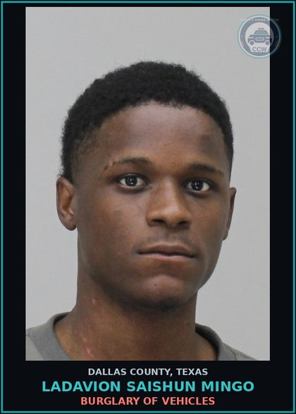 CCW arrest card for LADAVION SAISHUN MINGO in Dallas County: BURGLARY OF VEHICLES