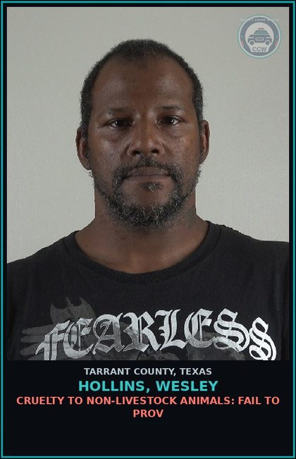 CCW arrest card for Hollins, Wesley in Tarrant County: CRUELTY TO NON-LIVESTOCK ANIMALS: FAIL TO PROV