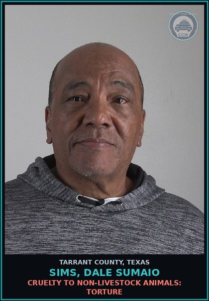 CCW arrest card for Sims, Dale Sumaio in Tarrant County: CRUELTY TO NON-LIVESTOCK ANIMALS: TORTURE