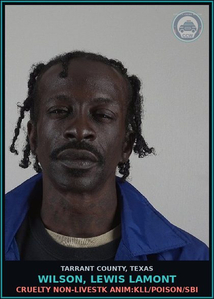 CCW arrest card for Wilson, Lewis Lamont in Tarrant County: CRUELTY NON-LIVESTK ANIM:KILL/POISON/SBI