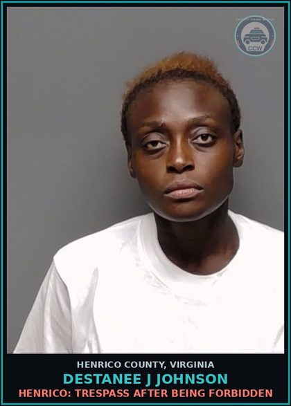 CCW arrest card for Destanee J Johnson in Henrico County: DRUGS: POSSESS SCH I OR II