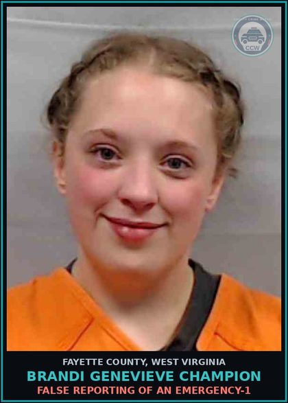 CCW arrest card for Brandi Genevieve Champion in Fayette County: FALSE REPORTING OF AN EMERGENCY-1