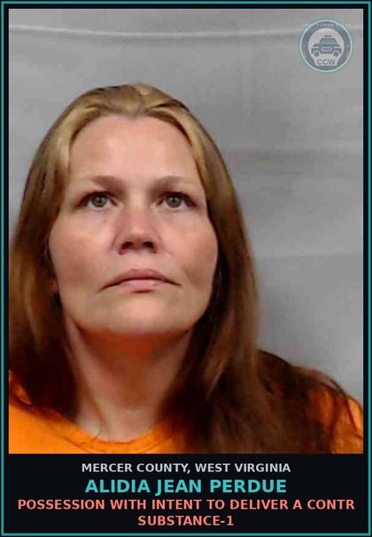 CCW arrest card for Alidia Jean Perdue in Mercer County: POSSESSION WITH INTENT TO DELIVER A contr substance-1