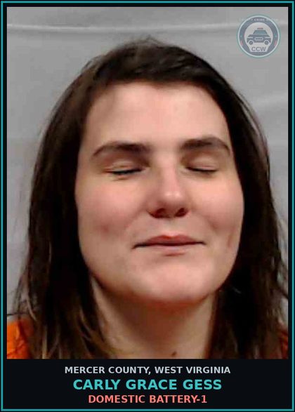 CCW arrest card for Carly Grace Gess in Mercer County: DOMESTIC BATTERY-1