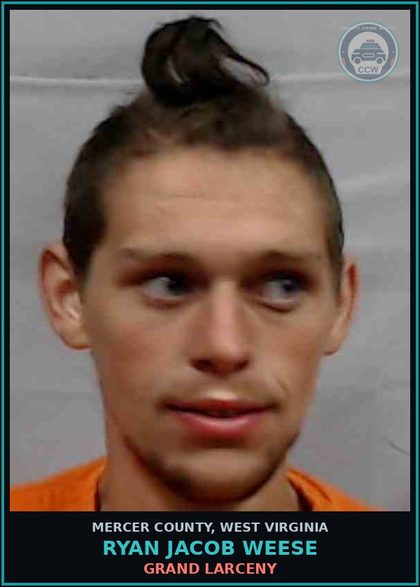CCW arrest card for Ryan Jacob Weese in Mercer County: DESTRUCTION OF PROPERTY-1