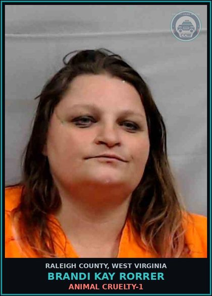 CCW arrest card for Brandi Kay Rorrer in Raleigh County: ANIMAL CRUELTY-1