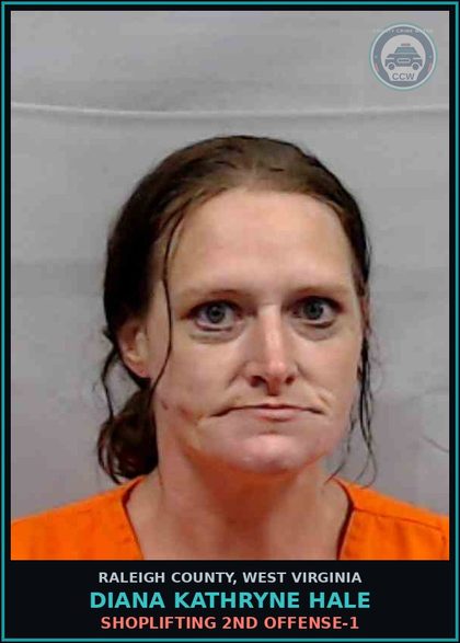 CCW arrest card for Diana Kathryne Hale in Raleigh County: SHOPLIFTING 2ND OFFENSE-1