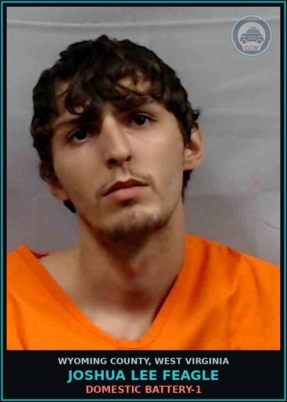 CCW arrest card for Joshua Lee Feagle in Wyoming County: DOMESTIC BATTERY-1