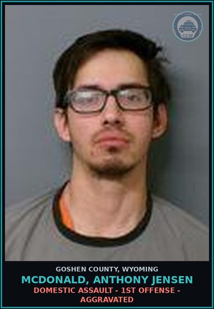 CCW arrest card for Mcdonald, Anthony Jensen in Goshen County: False imprisonmt