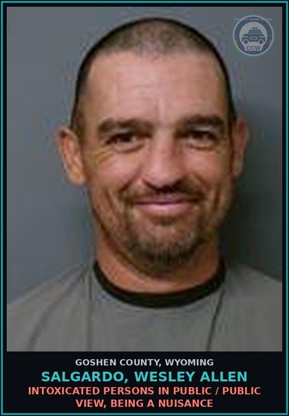 CCW arrest card for Salgardo, Wesley Allen in Goshen County: Intoxicated Persons In Public / Public View, Being a Nuisance