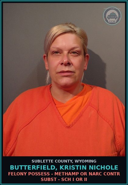 CCW arrest card for Butterfield, Kristin Nichole in Sublette County: Theft - Und $1000